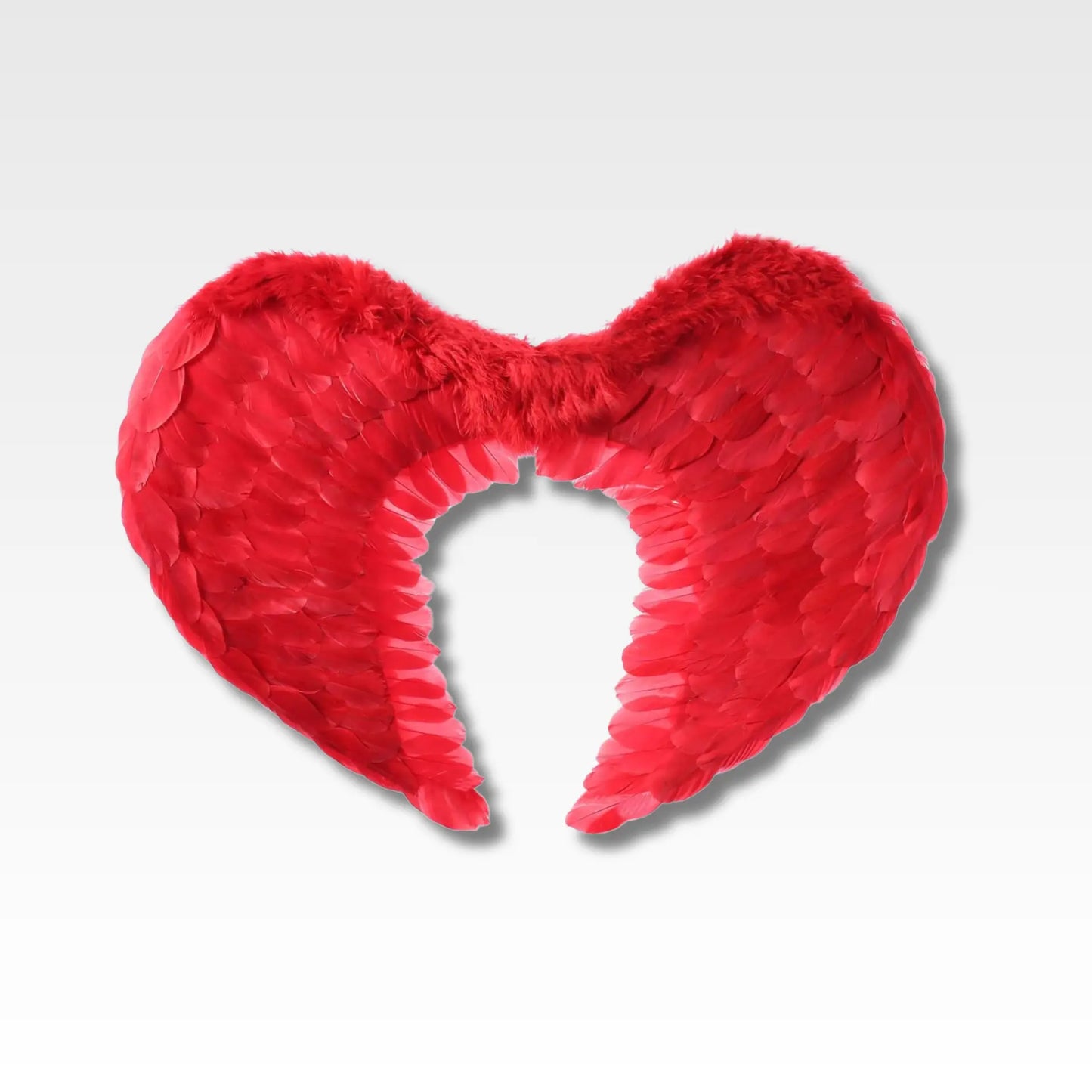 Alas de angel en plumas