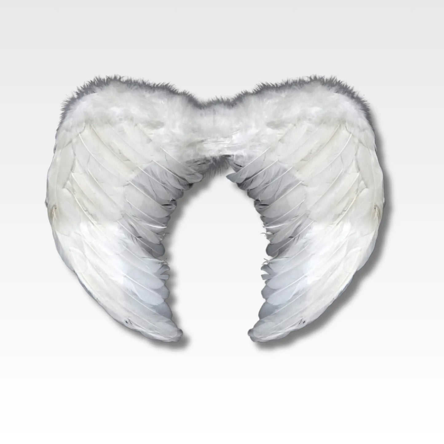 Alas de angel en plumas