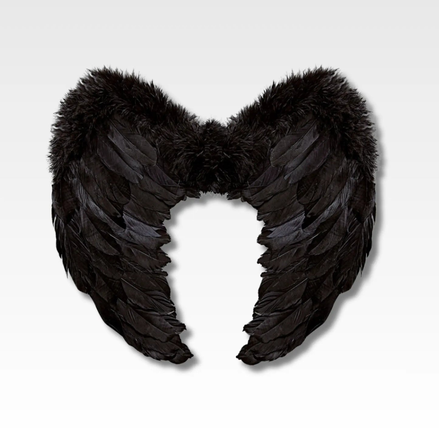 Alas de angel en plumas